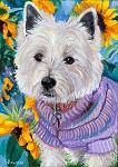 Abbey is a Westie sitting among the sunflowers in her lavender jacket