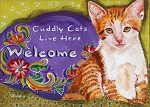 Caju - orange tabby kitten "Cuddly Cats Live Here - Welcome"