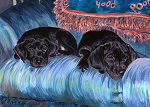 Cassie and Synder - two black lab puppies on a blue couch