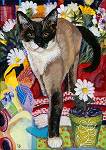 Siamese cross cat among the flower pots ready for a party