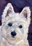 Gracie is a Westie who loves to travel to and from her home in the gorge for wind surfing on the Columbia River
