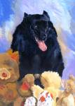 Katy is a Schipperke who loves her toys!