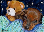 Luke is a tan Dachshund puppy with his favorite bear resting before bedtime