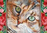 Tabby cat close-up with acqua eyes and roses