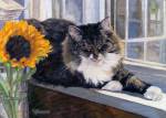 Simba is a white and grey tabby cat who loves to lounge in the warm sun on the windowsill.