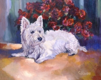 A Westie with roses, Bayley is beautiful