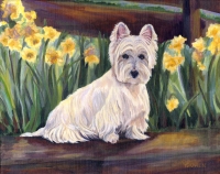 Robbie, a Westie in Spring!